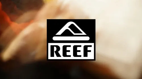 Chanclas REEF surf premium para hombre y mujer en verano