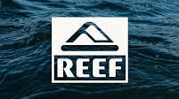Chanclas REEF cómodas con amortiguación premium para verano