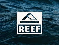 Chanclas REEF cómodas con amortiguación premium para verano