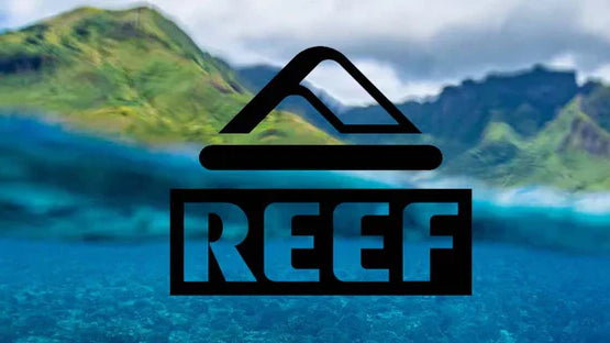 Chanclas REEF cómodas ideales para vacaciones y verano
