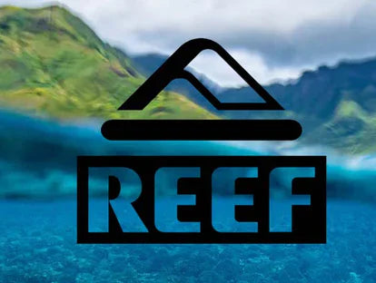 Chanclas REEF cómodas ideales para vacaciones y verano