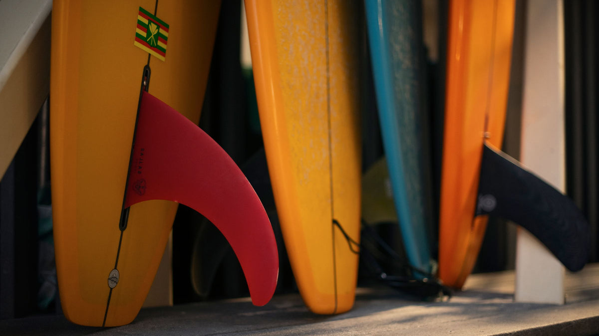 Primer plano de varias tablas de surf con sus colas y quillas