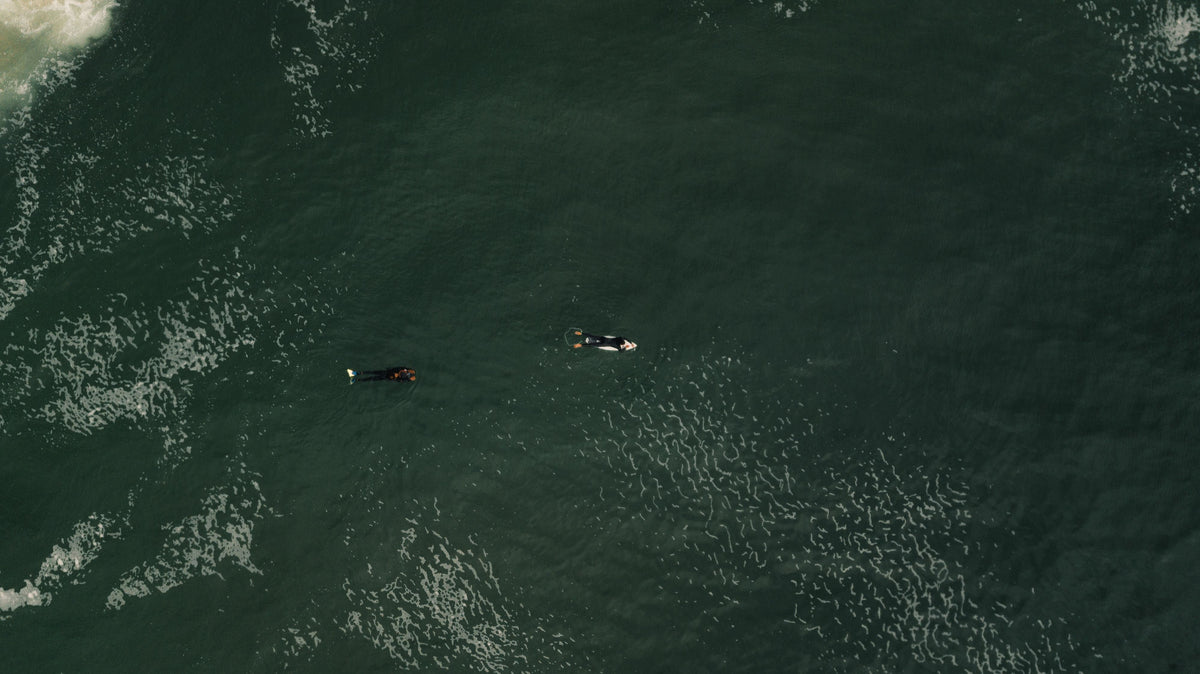 Dos surfistas remando vistos desde arriba durante una sesión