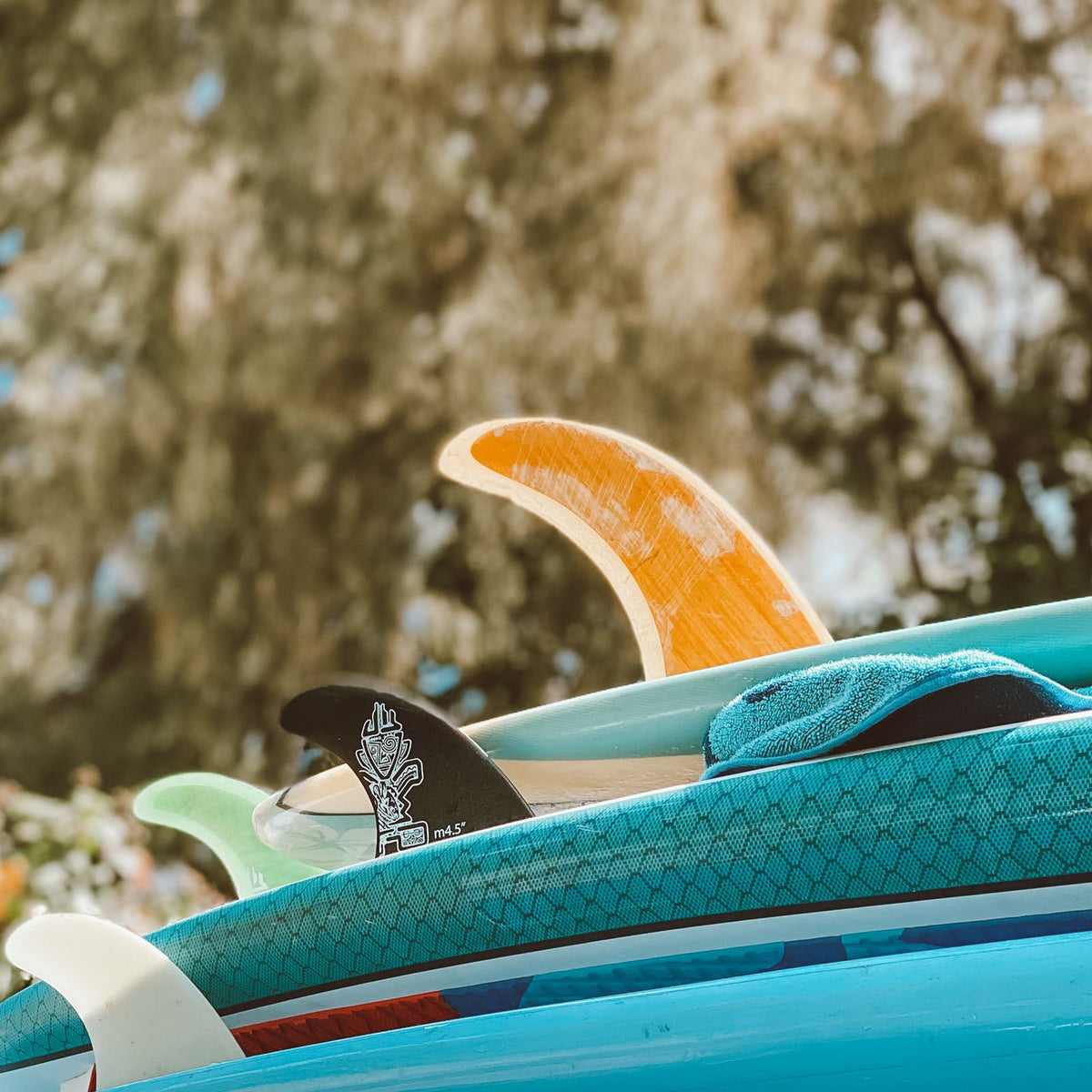 Tablas de surf sobre un coche expuestas al sol