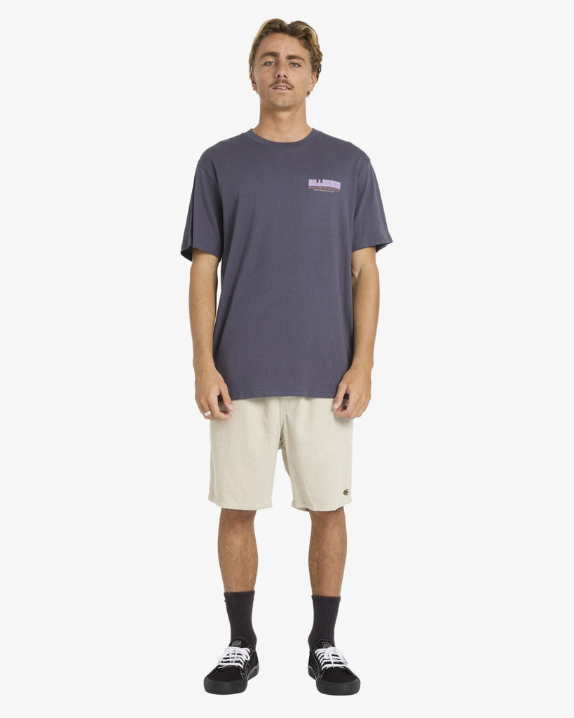 Camiseta Billabong Broadsheet Premium Graystone