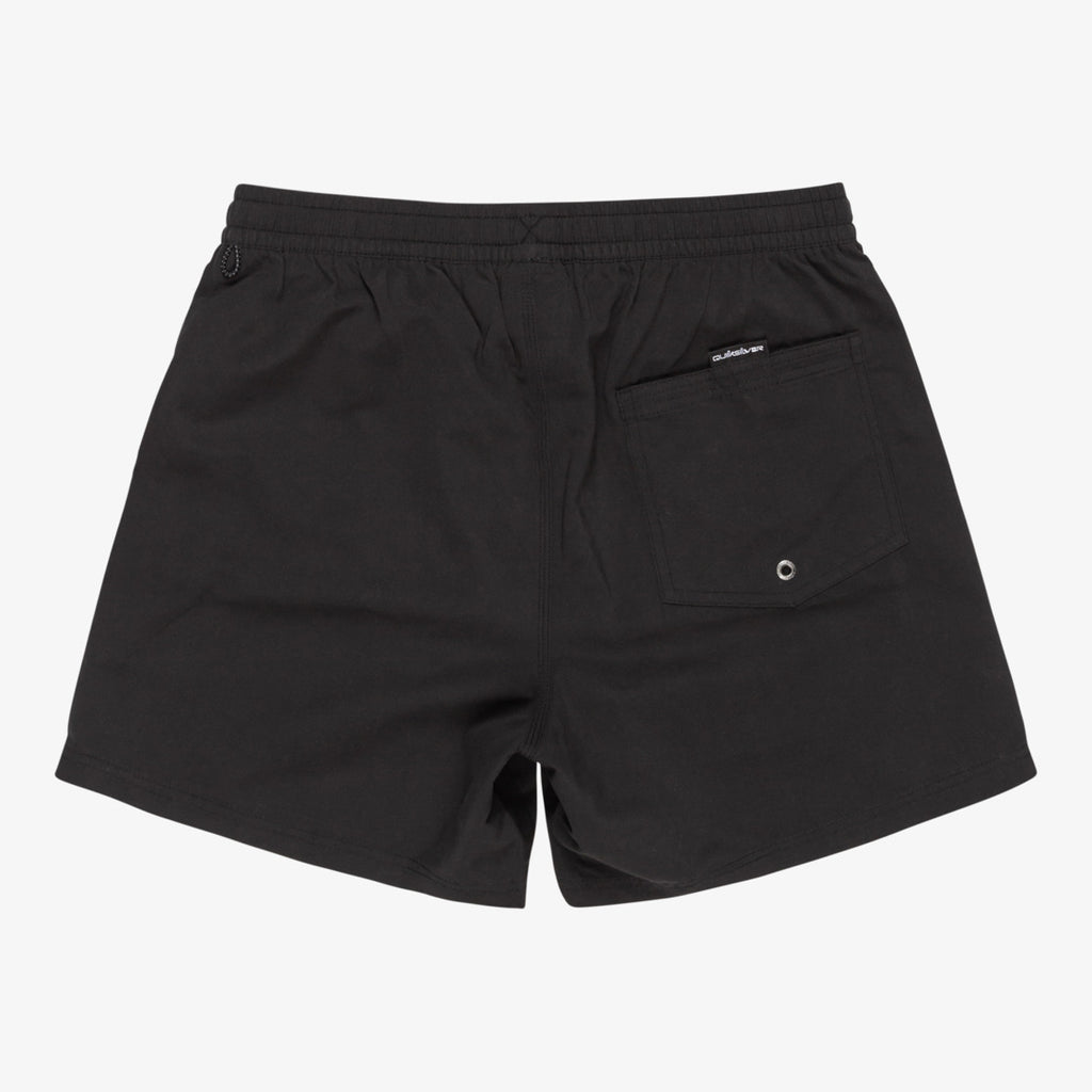 Bañador Quiksilver Everyday Solid Volley 15 Black 2