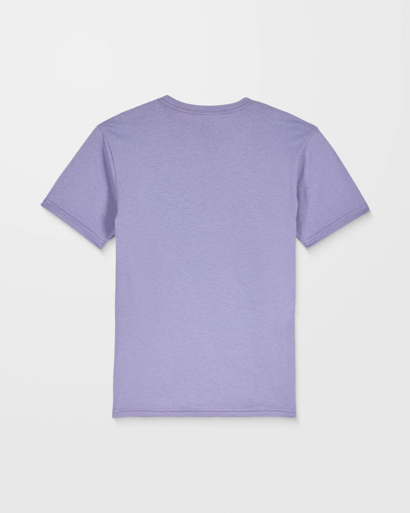 Camiseta Volcom Voltaco Purple Ash