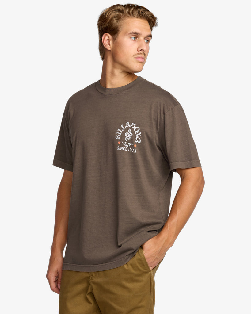 Camiseta Billabong Coiled Premium Brown