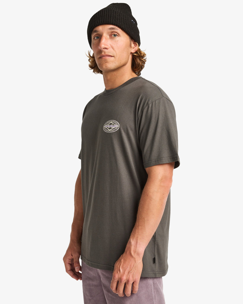 Camiseta Billabong Diamond Vision Vintage Grey