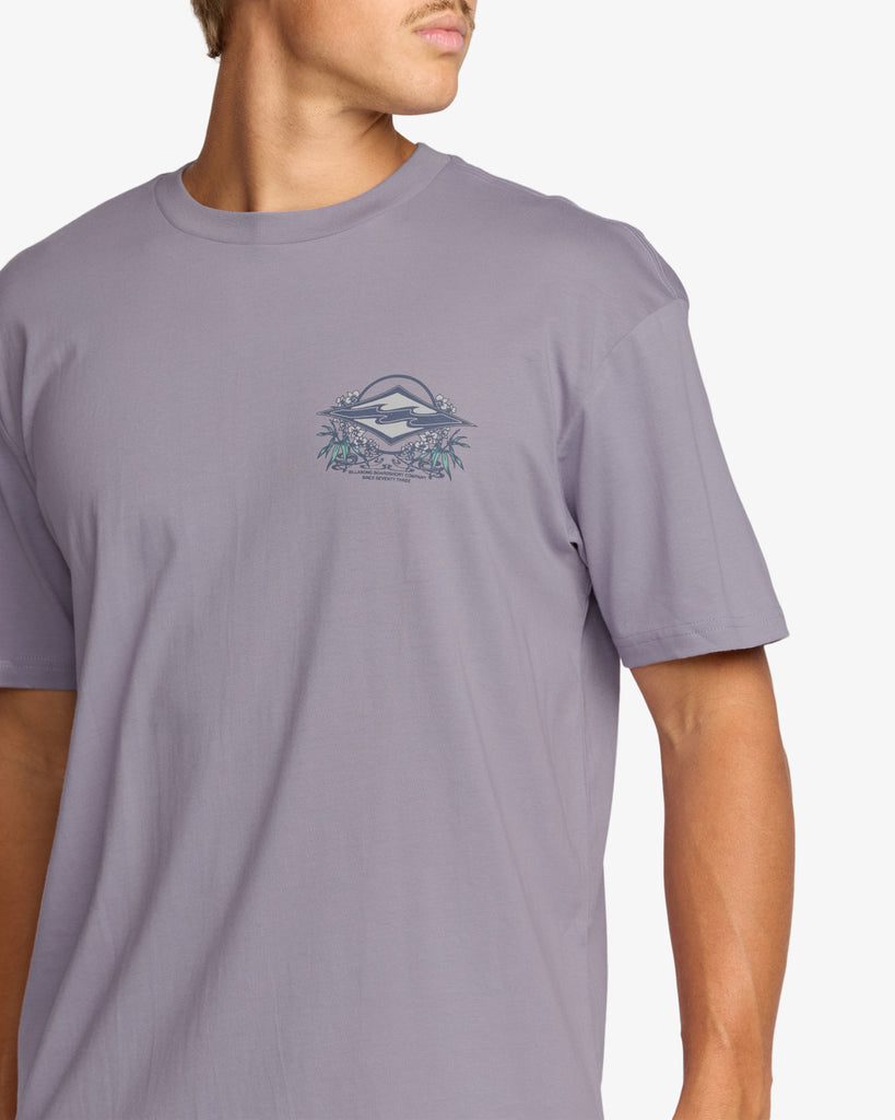 Camiseta Billabong Jaybay Premium Purple