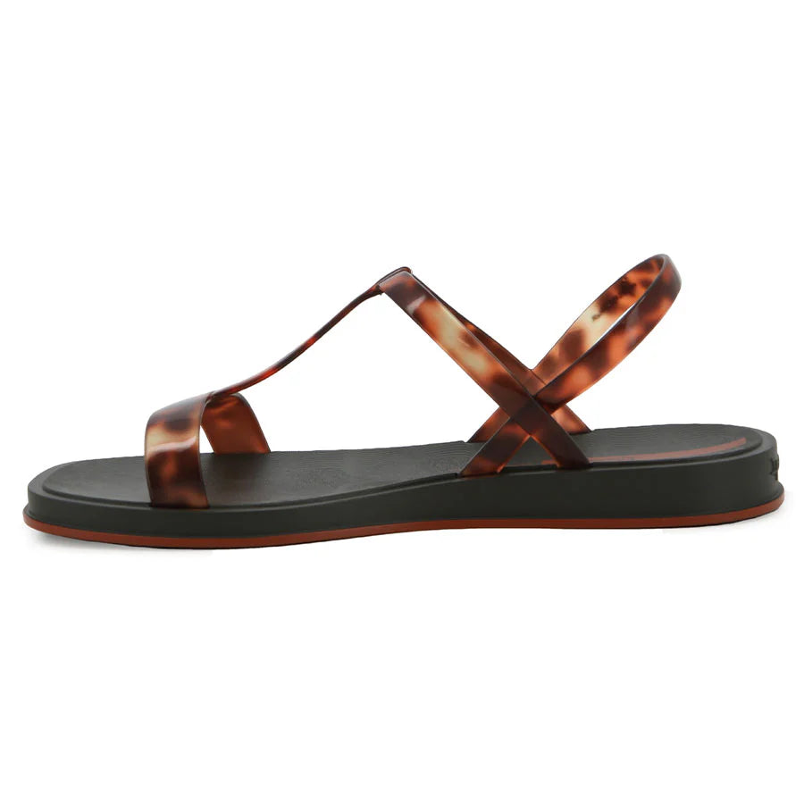 Sandalias Ipanema Glow Trendy Sand AD Olive/Turtle