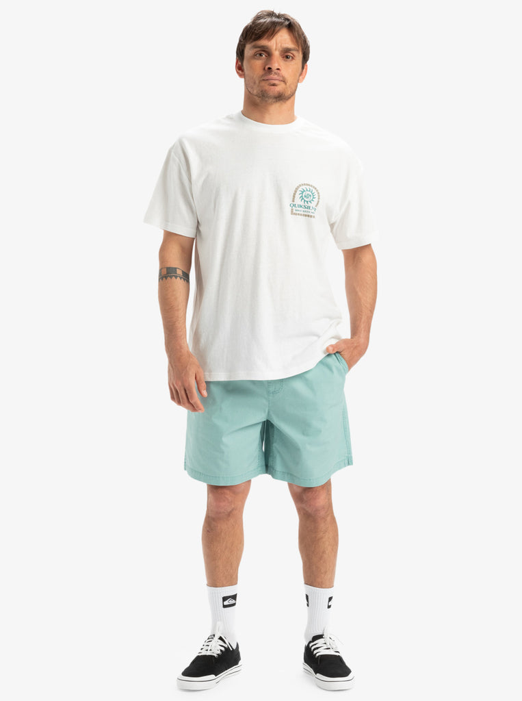 Short Quiksilver Taxer WS Aquifer