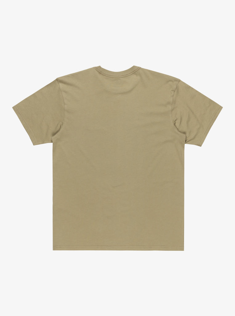 Camiseta Quiksilver Salt Water Aloe