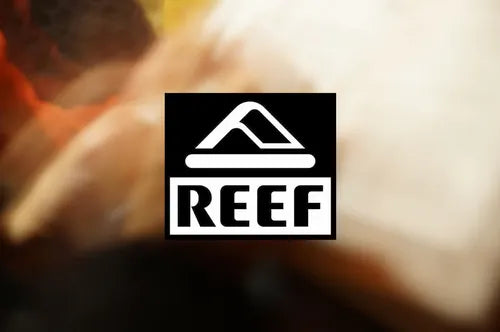 Chanclas REEF surf premium para hombre y mujer en verano