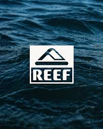 Chanclas REEF cómodas con amortiguación premium para verano