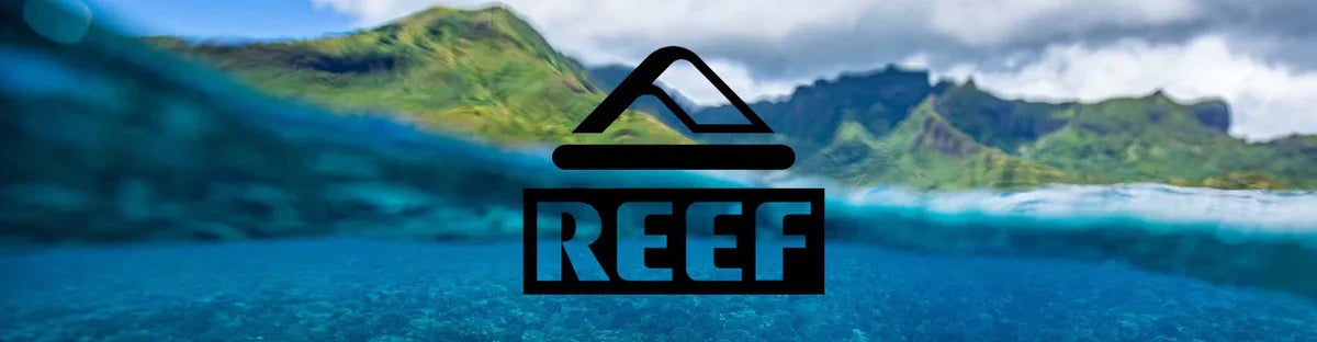 Chanclas REEF cómodas ideales para vacaciones y verano