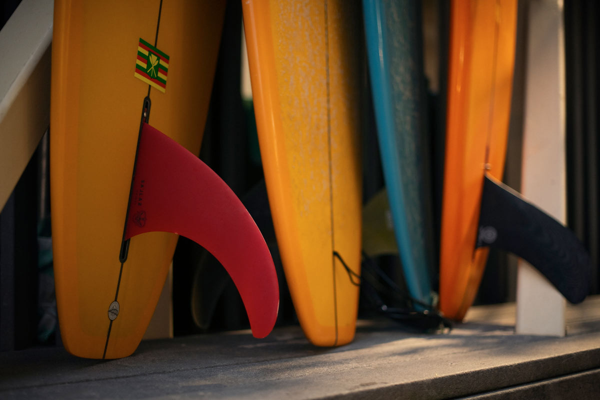 Primer plano de varias tablas de surf con sus colas y quillas