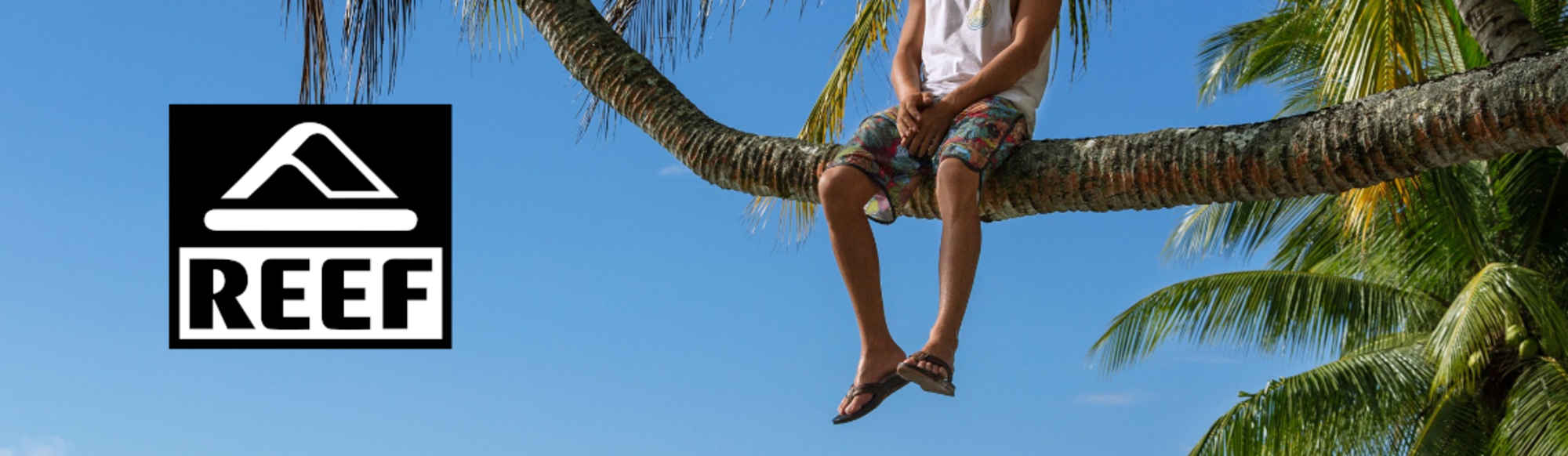 Chanclas REEF limpias y cuidadas para verano y playa