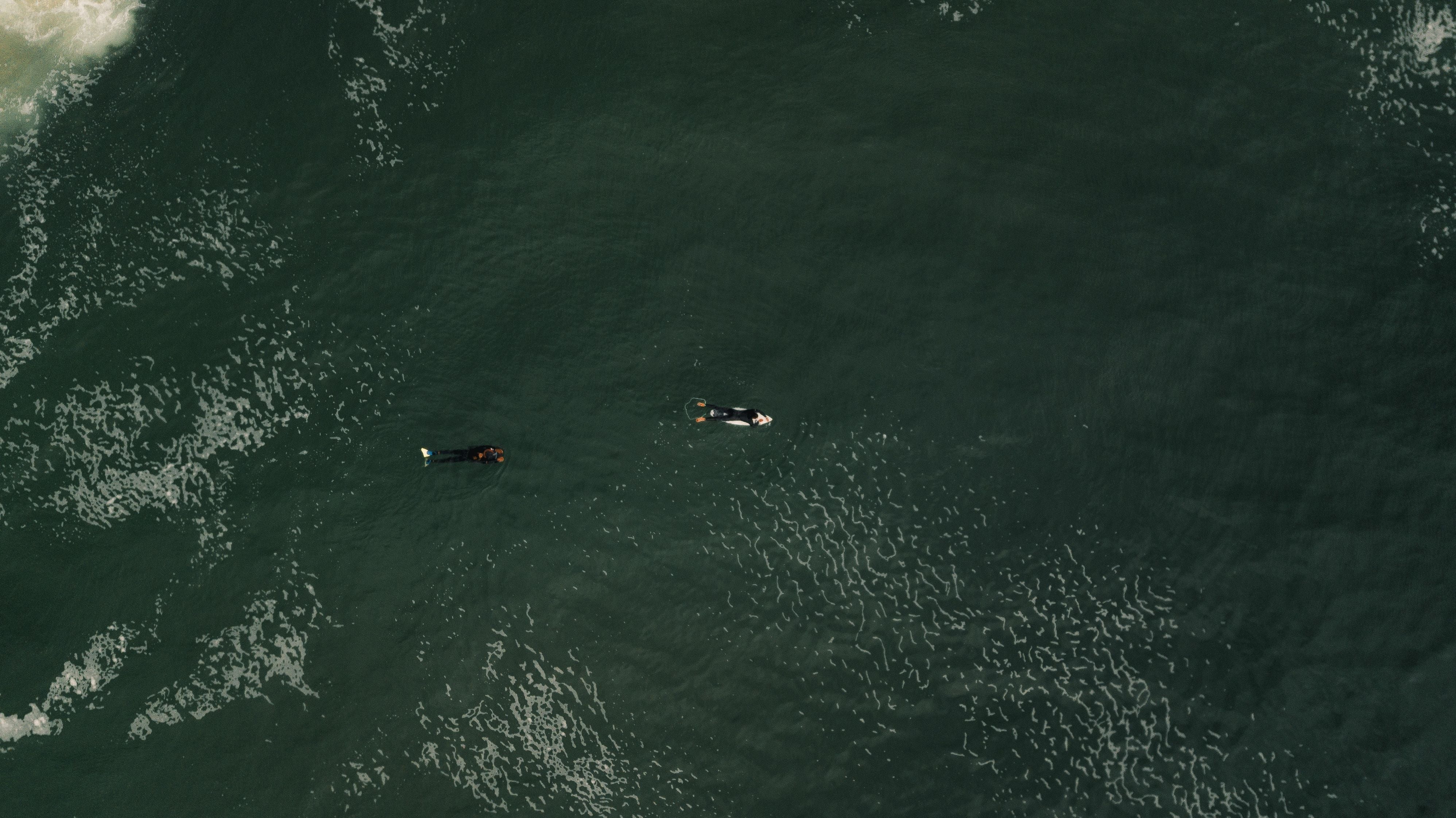 Dos surfistas remando vistos desde arriba durante una sesión