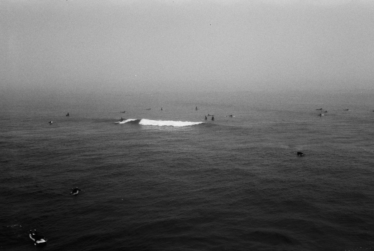 Surfistas entre olas con niebla densa sobre el océano