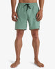 Bañador Billabong Every Other Day 17 Moss