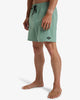 Bañador Billabong Every Other Day 17 Moss
