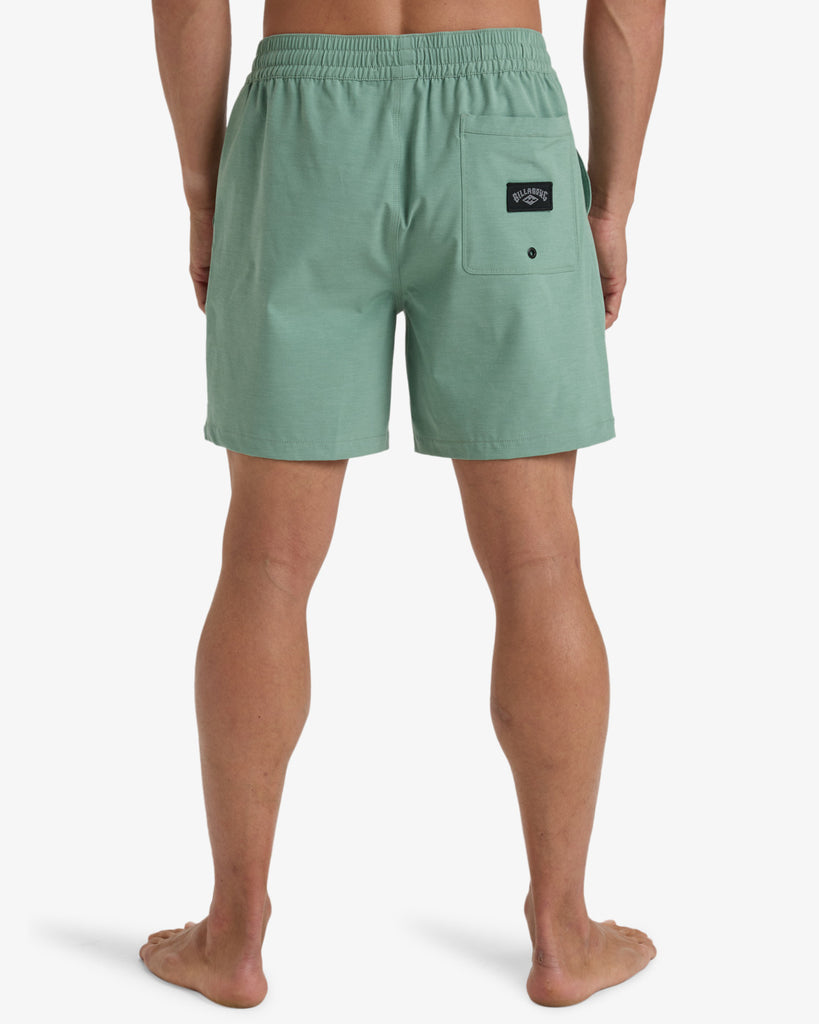 Bañador Billabong Every Other Day 17 Moss