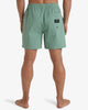 Bañador Billabong Every Other Day 17 Moss