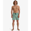 Bañador Billabong Every Other Day 17 Moss