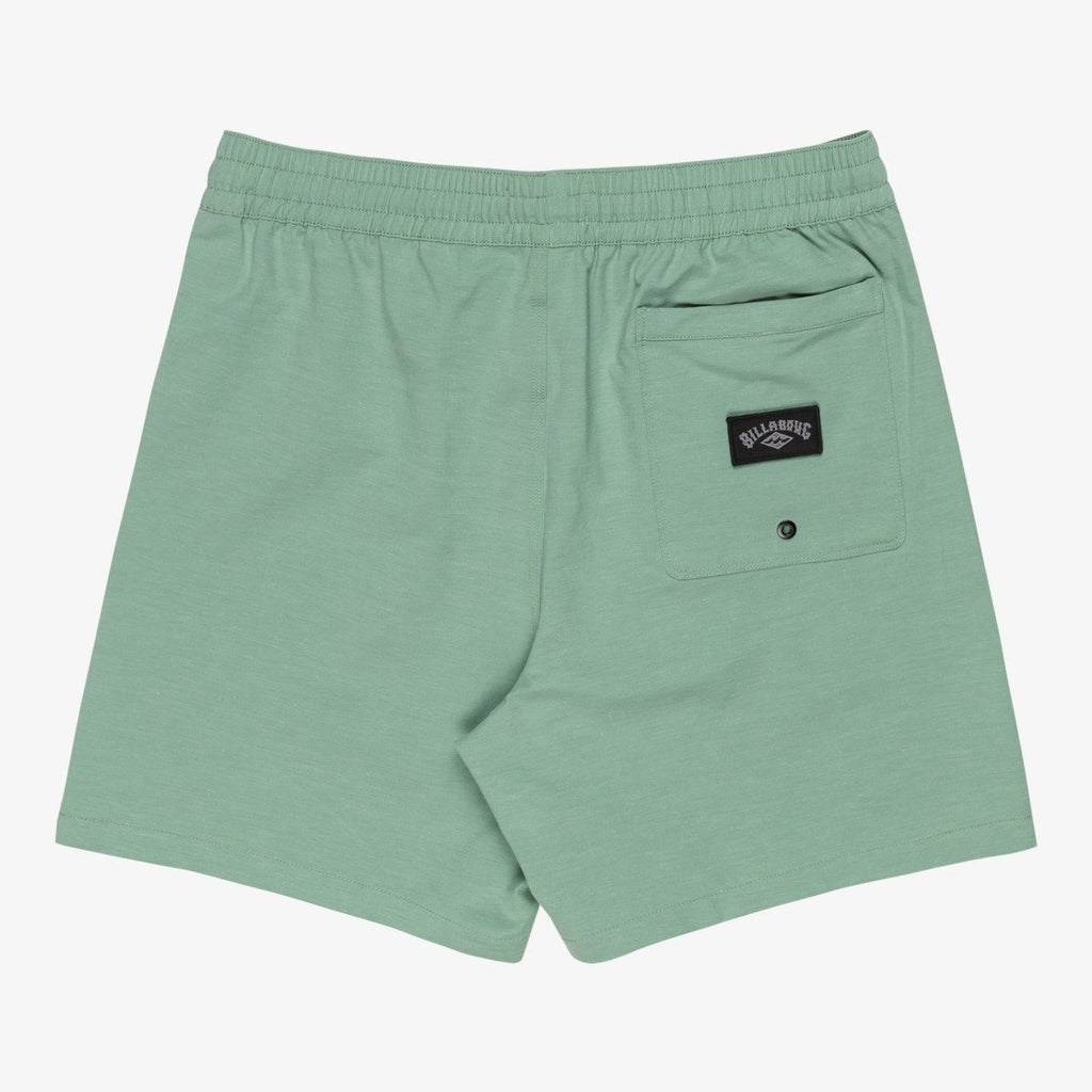 Bañador Billabong Every Other Day 17 Moss