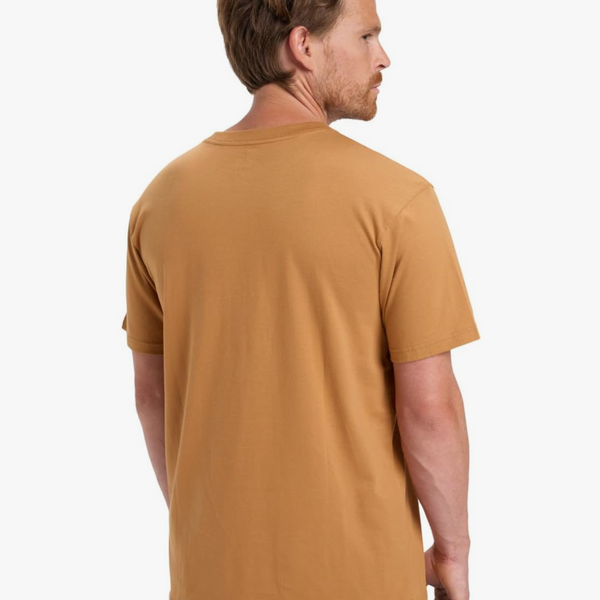 Camiseta Quiksilver Anchor Lockup Almond
