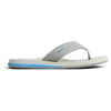 Chanclas Reef The Layback Grey/Blue