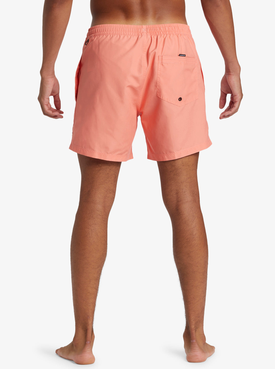 Bañador Quiksilver Everyday Solid Volley 15 Living Coral