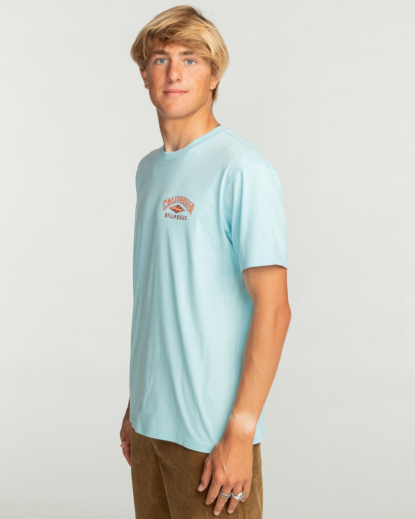 Camiseta Billabong Arch Dreamy Place Coastal