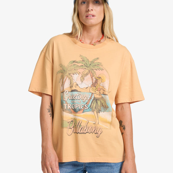 Camiseta Billabong Vibe Time Clay