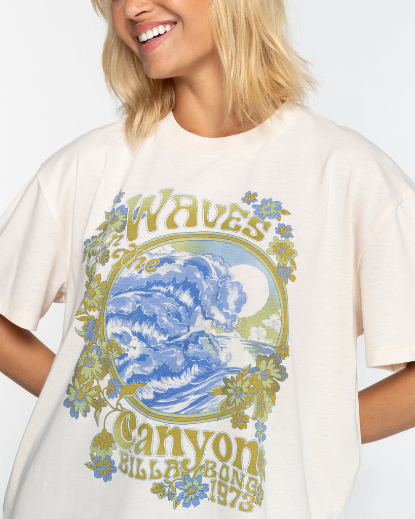 Camiseta Billabong Waves In The Canyon