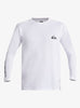 Camiseta de Licra Quiksilver Everyday UPF50 LS White