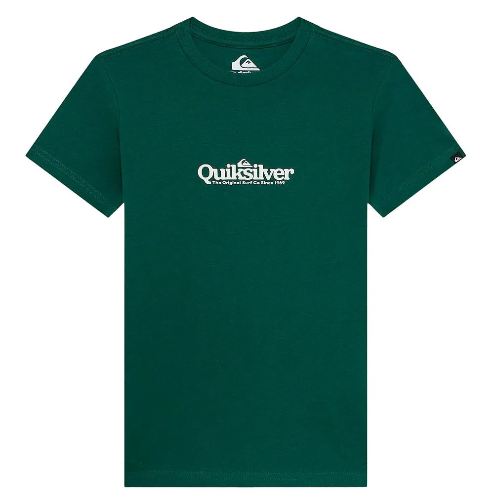 Camiseta Quiksilver Fineline Trekking Green para hombre color verde estilo surf con logo frontal
