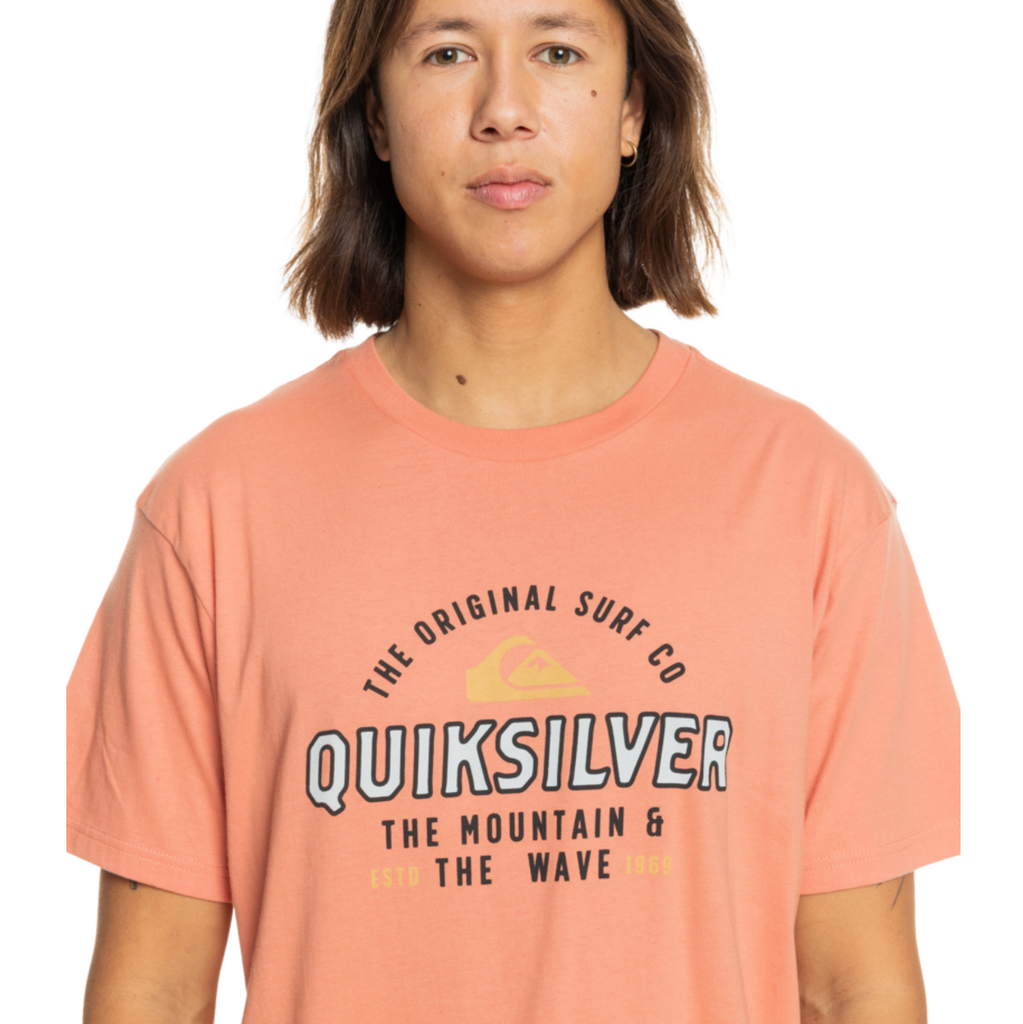 Camiseta Quiksilver Floating Around Canyon Clay