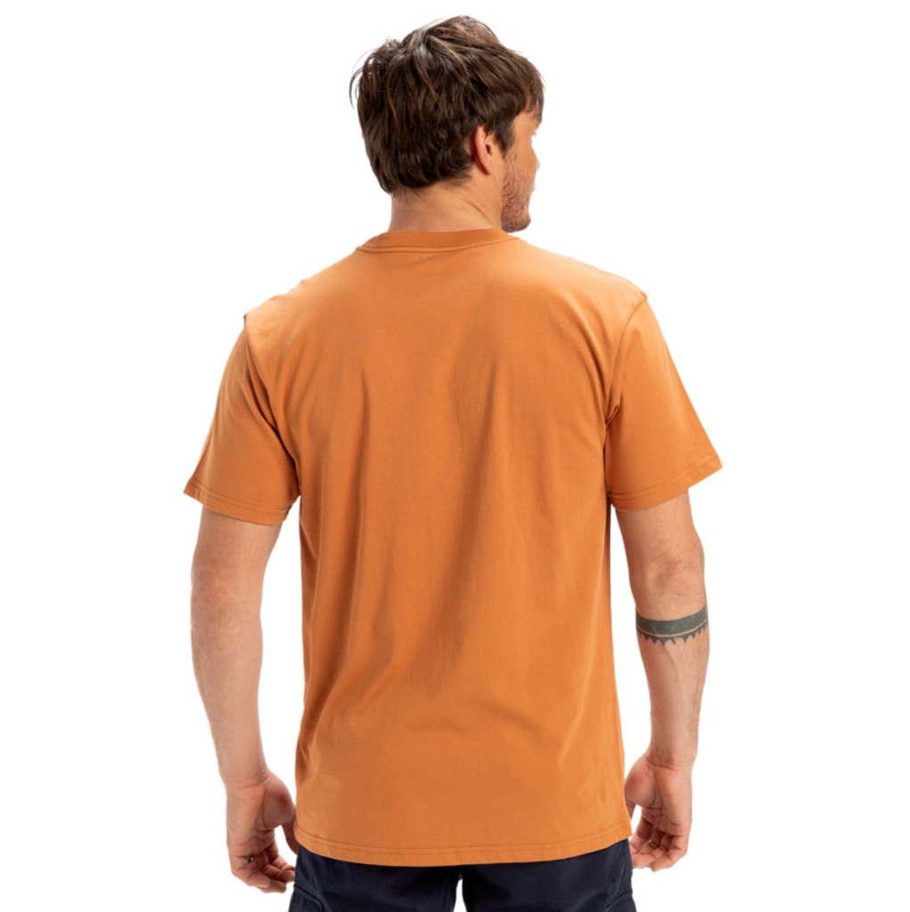 Camiseta Quiksilver Three Seas Bran