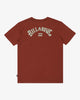 Camiseta Billabong Arch Wave Kids Brick