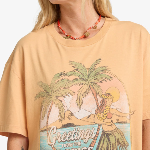 Camiseta Billabong Vibe Time Clay