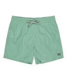 Bañador Billabong All Day Layback - Verde (Green Ash) - imagen oficial principal del producto