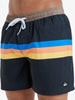 Bañador Quiksilver Everyday Staright 15 Black Retro Stripe