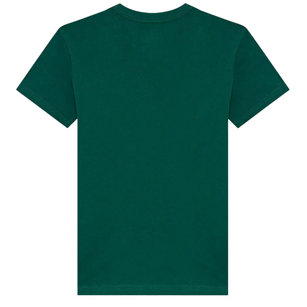 Camiseta Quiksilver Fineline Trekking Green