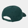 Gorra Carhartt WIP Dunes Cap Botanic