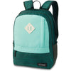 Mochila Dakine Essentials Pack 22L Greenlake
